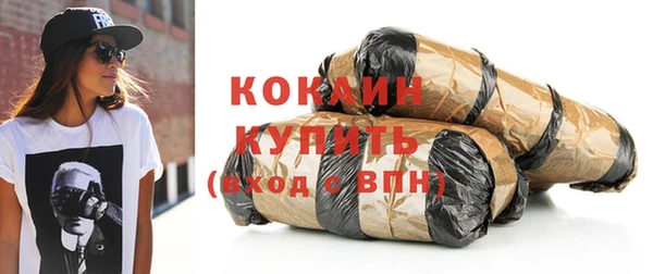 соль ск Богданович