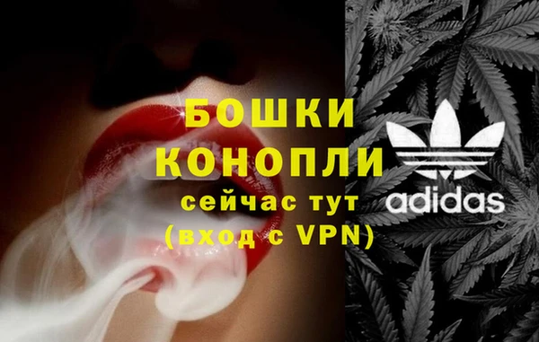 крисы Белокуриха