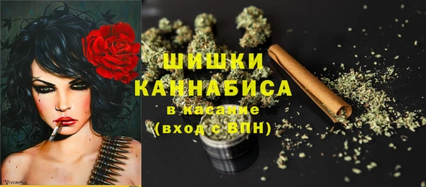 соль ск Богданович