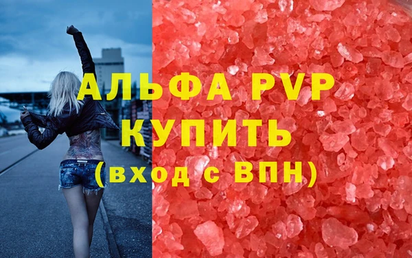 крисы Белокуриха