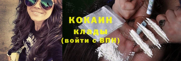 соль ск Богданович