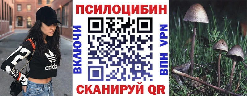 Галлюциногенные грибы Psilocybe  Кушва 