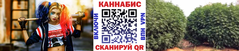 Бошки марихуана LSD WEED  закладка  Кушва 